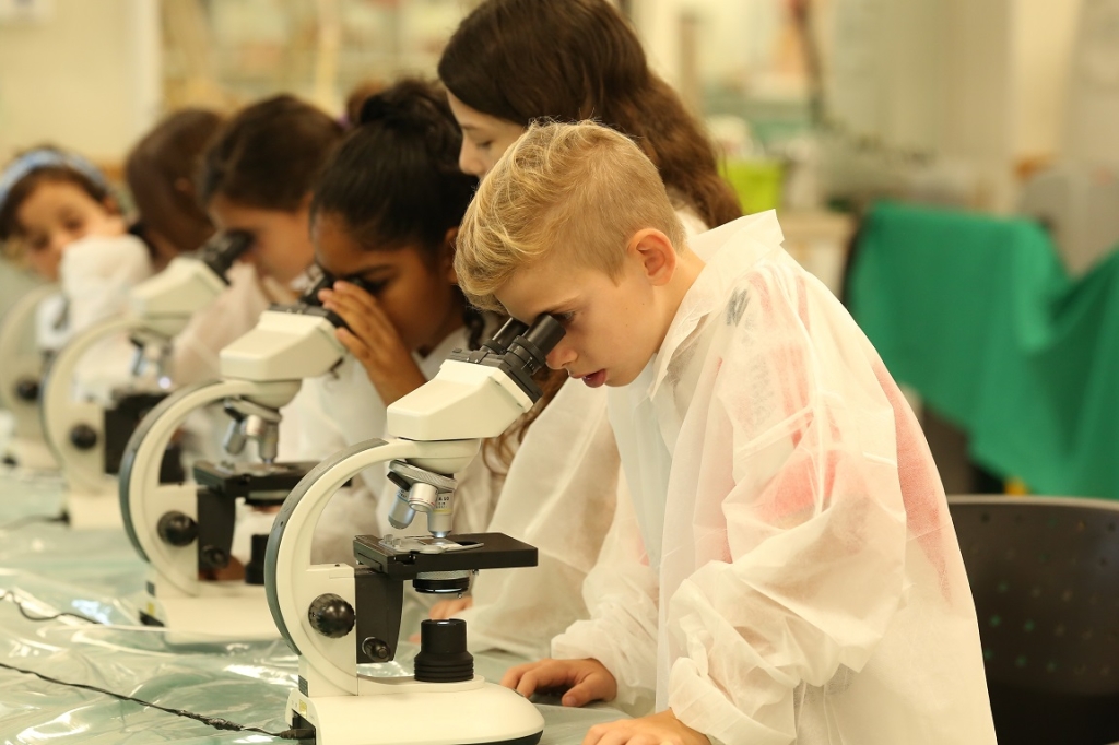 פורטל הכרמל