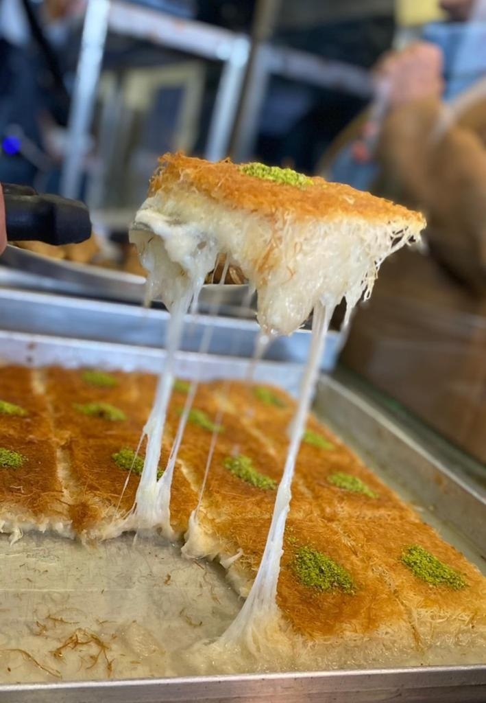 פורטל הכרמל