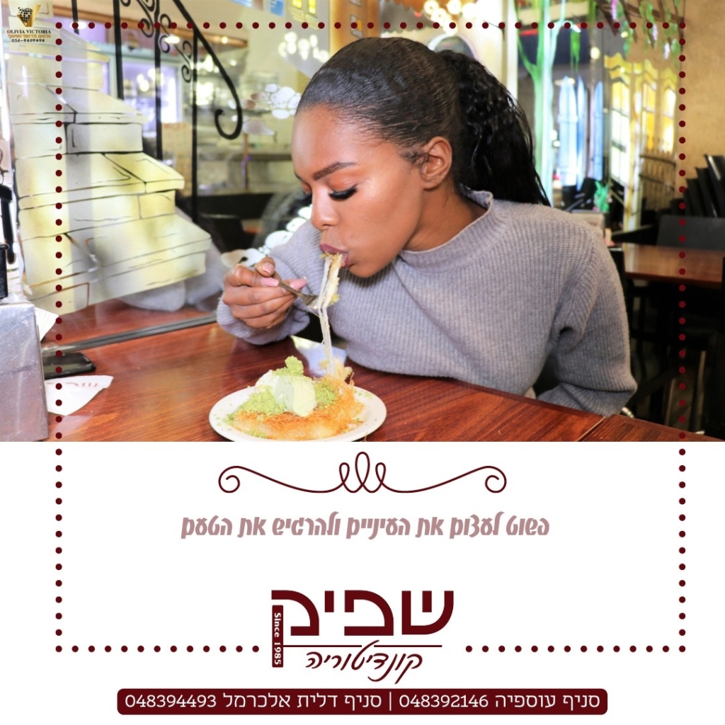 פורטל הכרמל