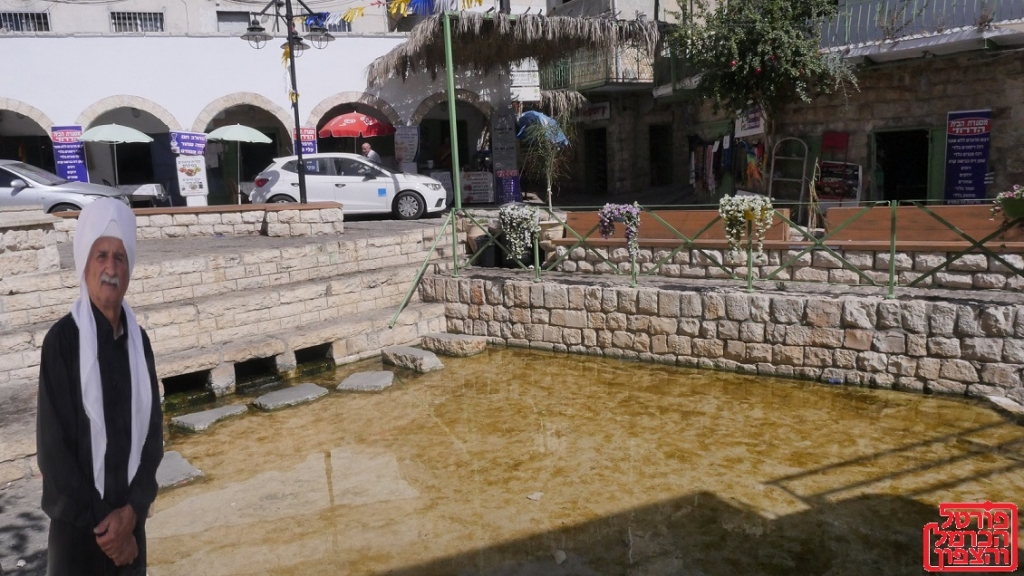 פקיעין והתושבים לדורותיהם בעיני שייך גדבאן