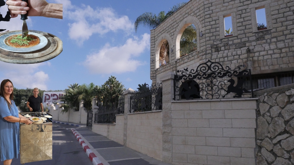 פורטל הכרמל