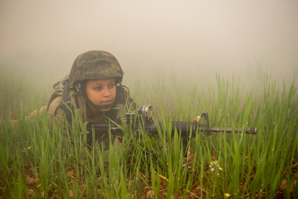 פורטל הכרמל