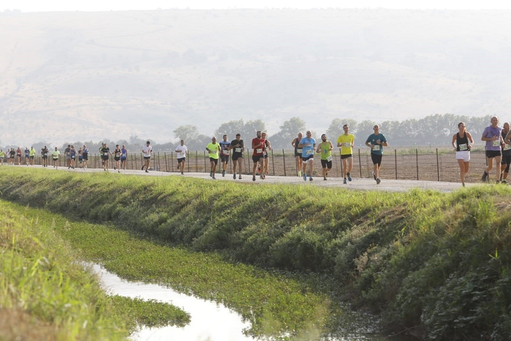 פורטל הכרמל