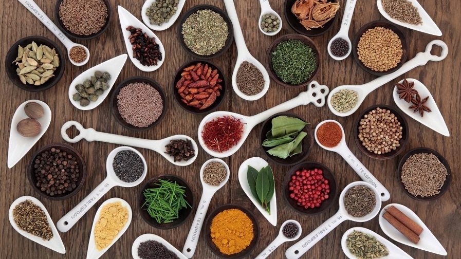 כל מה שתוכלו לעשות בחיפה