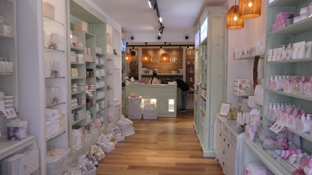 פורטל הכרמל