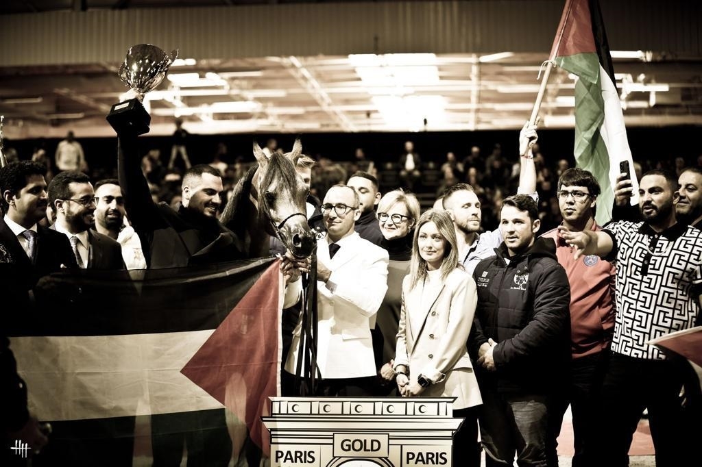 פורטל הכרמל