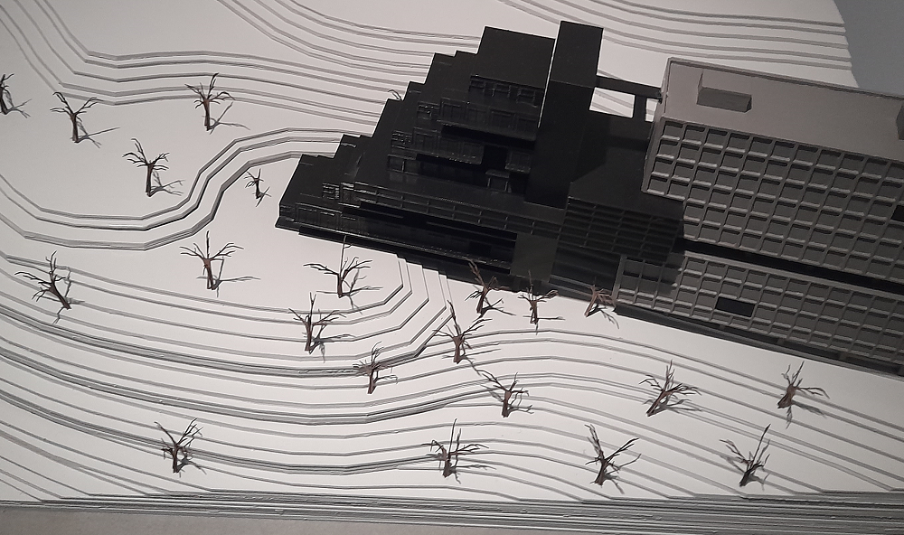 התבוננות עכשווית של אדריכלי העתיד 