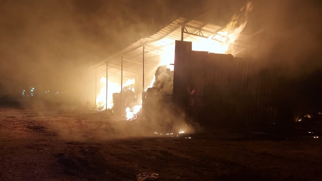 פורטל הכרמל