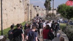 בישראל כ-111 אלף ניצולי שואה