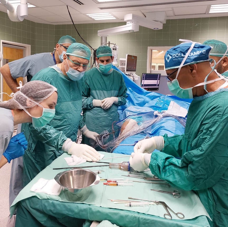 פורטל הכרמל