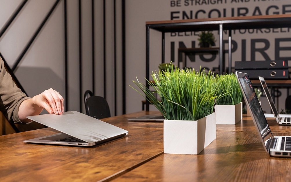 צמחים לגינה מזמינים היום אונליין