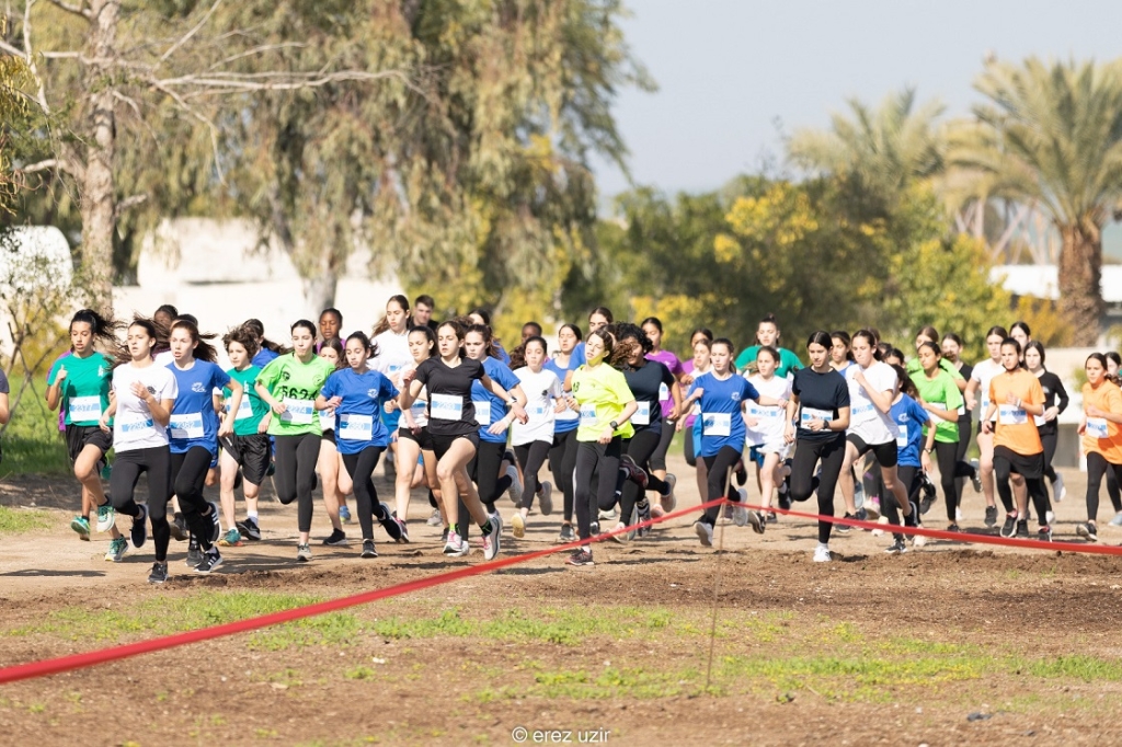 פורטל הכרמל