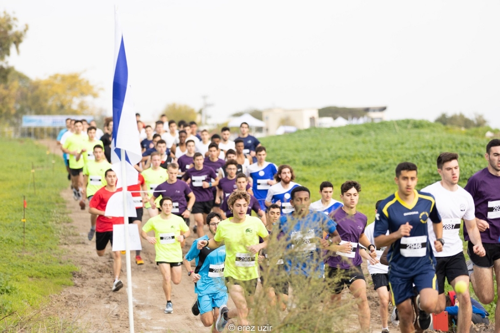 פורטל הכרמל