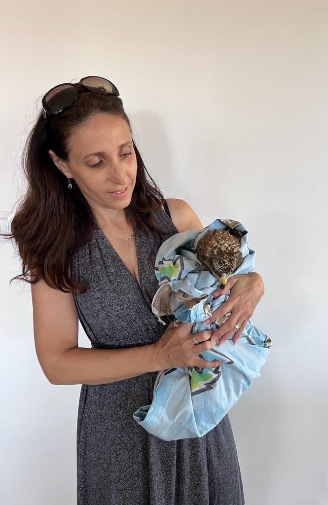 פורטל הכרמל