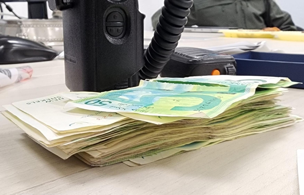 פורטל הכרמל