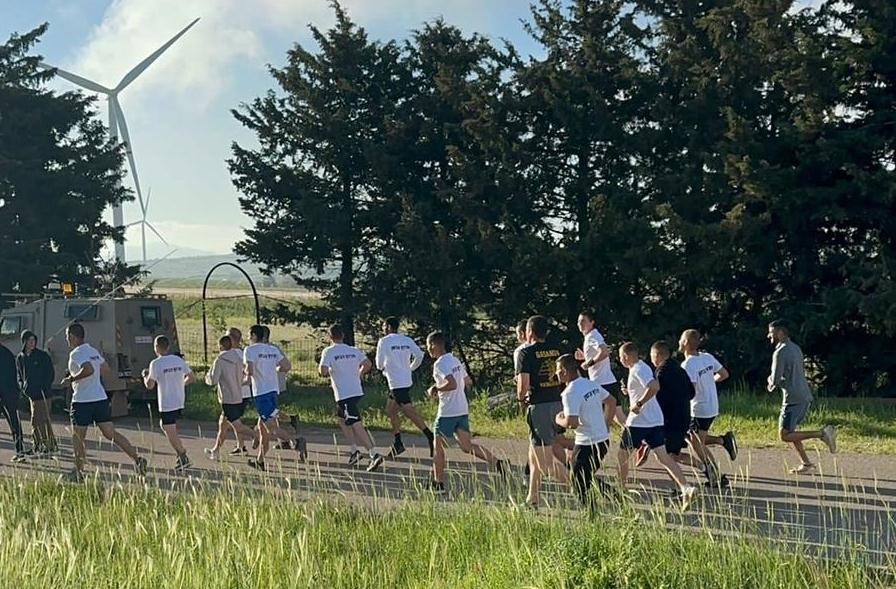 פורטל הכרמל