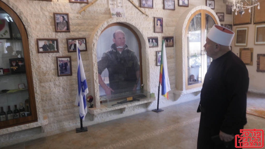 פורטל הכרמל