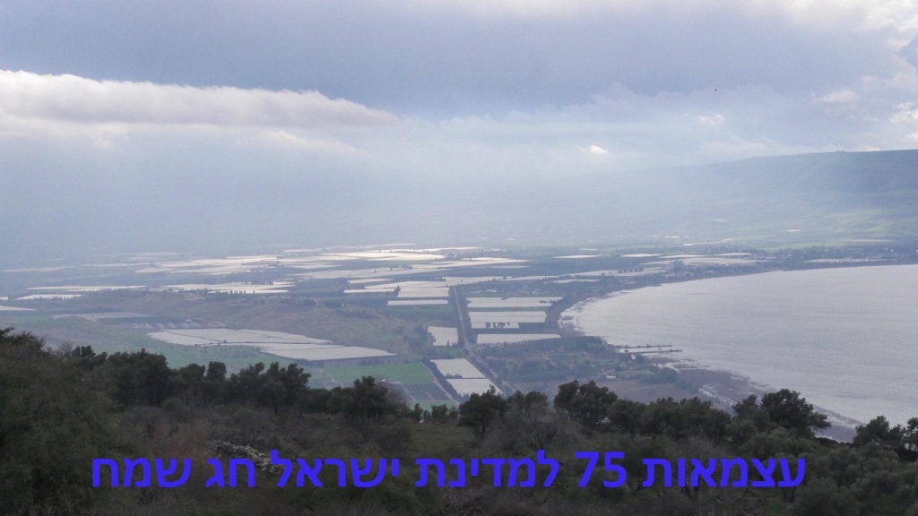 פורטל הכרמל
