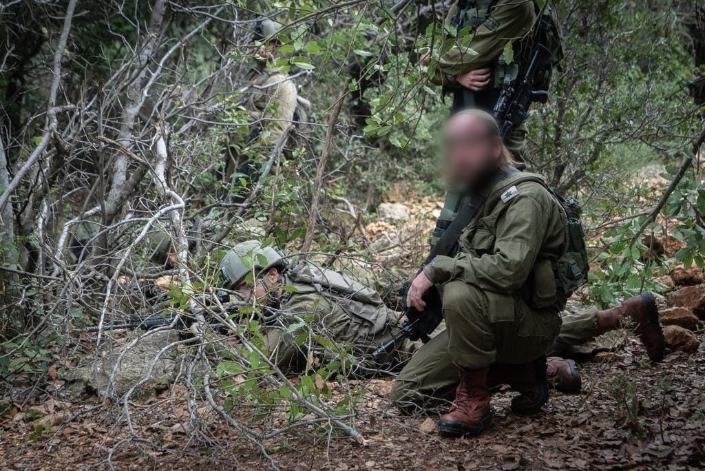 פורטל הכרמל