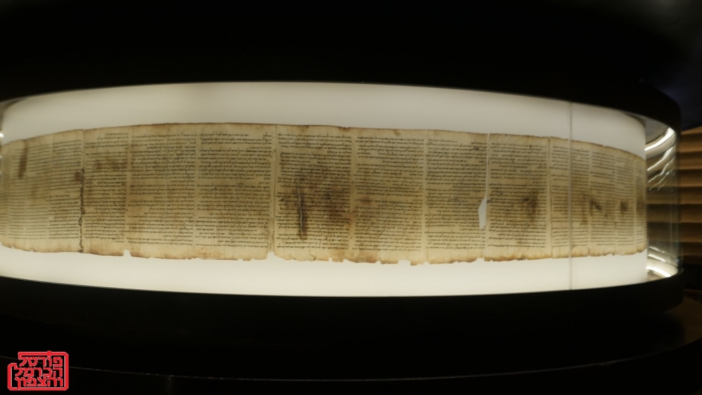 פורטל הכרמל