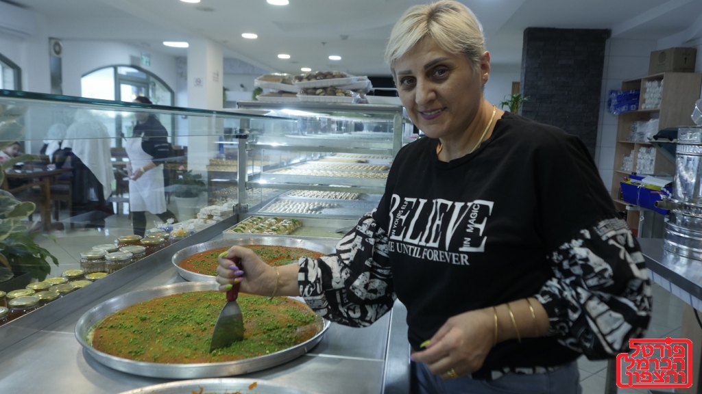 פורטל הכרמל