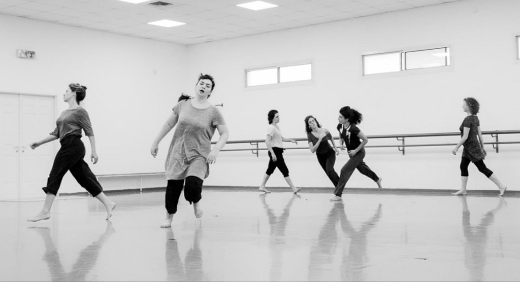 פורטל הכרמל