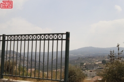 נשים הן הנפגעות העיקריות בשוק העבודה