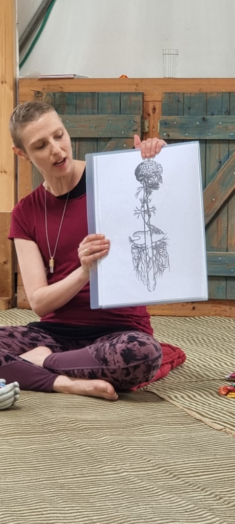 פורטל הכרמל