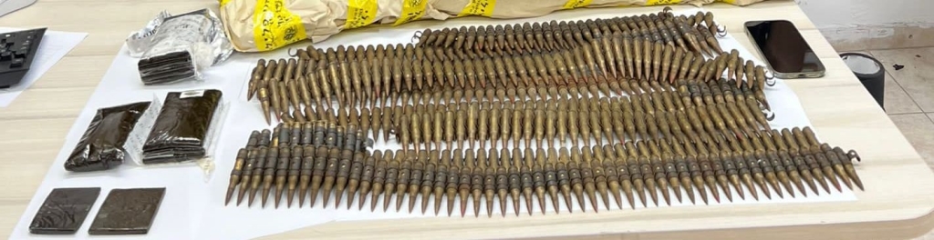 פורטל הכרמל