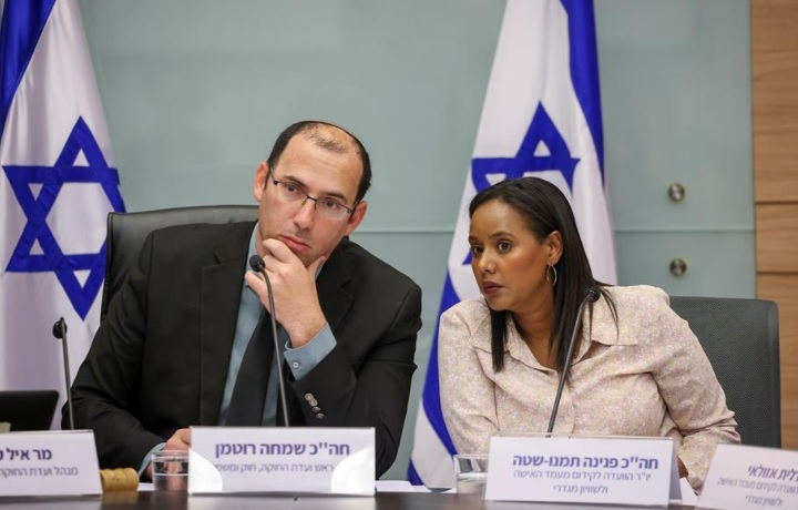 פורטל הכרמל