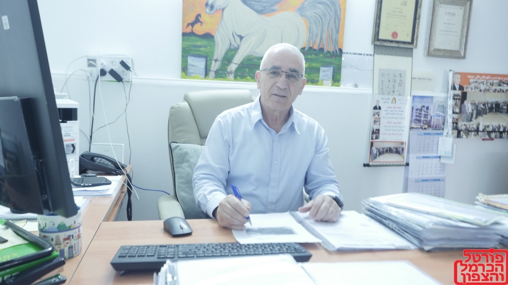 פורטל הכרמל