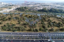 תכנון מפורט למתחם פארק הנרקיסים בפארק מורד נחל קישון