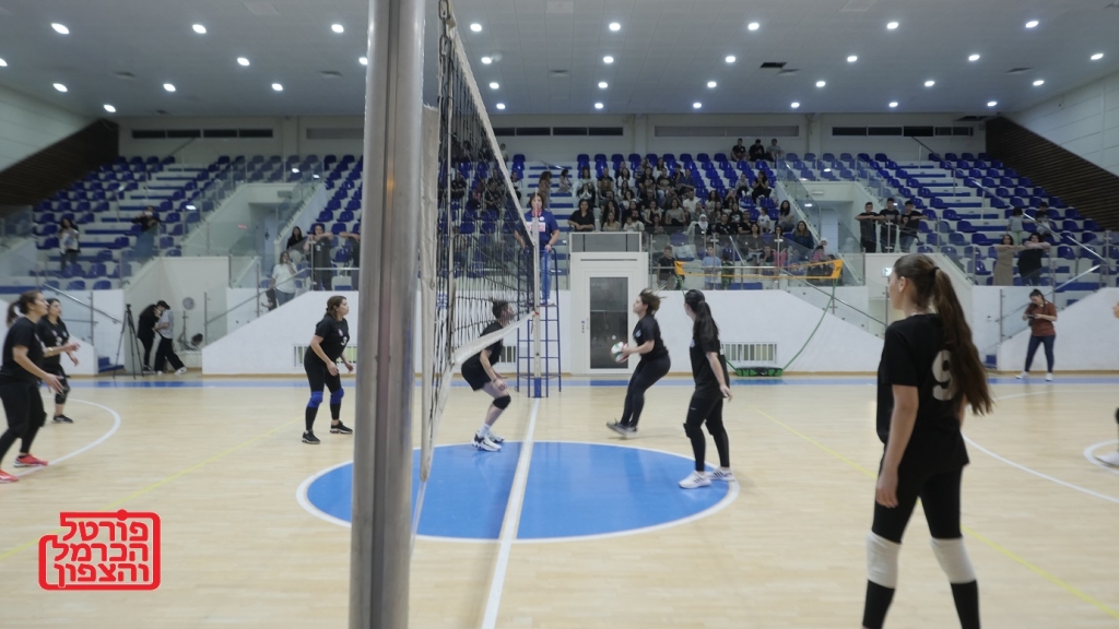 פורטל הכרמל