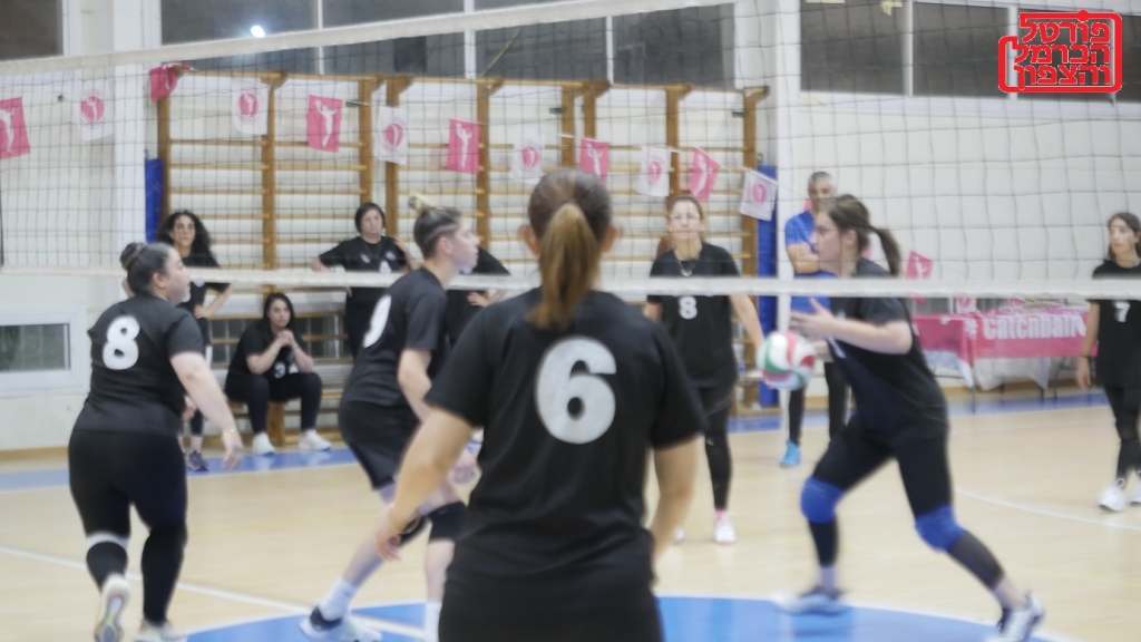 פורטל הכרמל