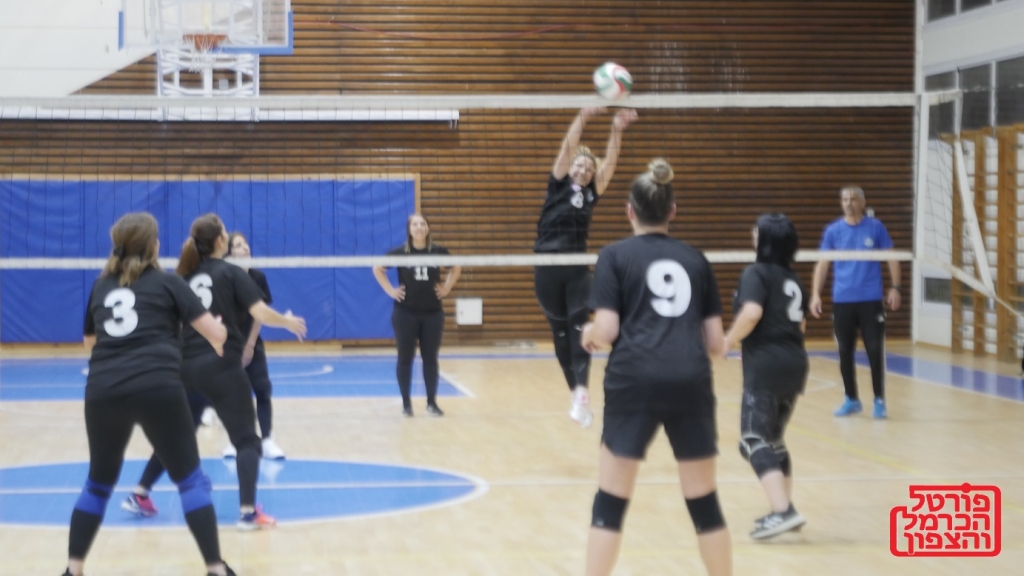 פורטל הכרמל