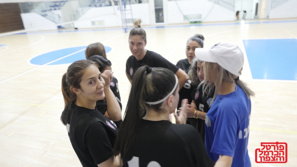 פורטל הכרמל