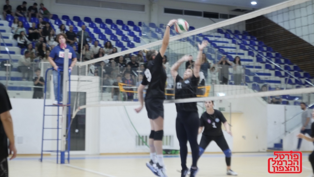 פורטל הכרמל