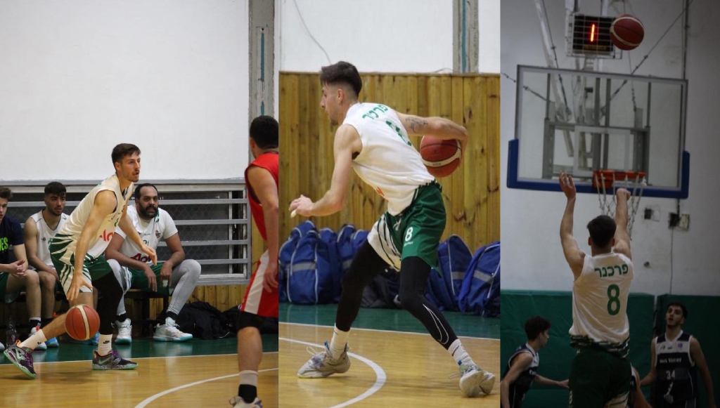 פורטל הכרמל