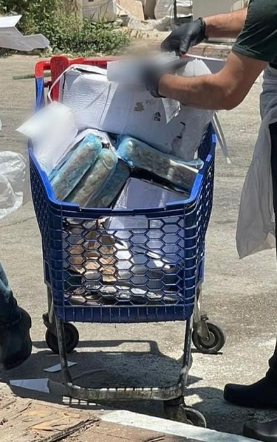 פורטל הכרמל