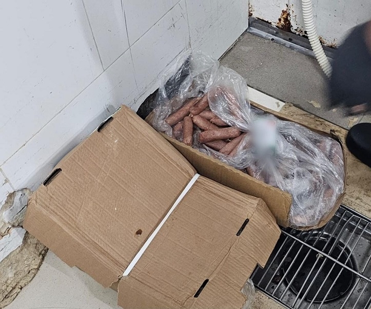 פורטל הכרמל