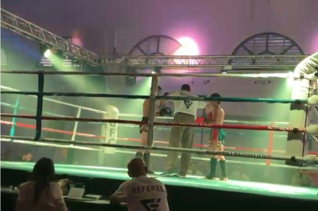 פורטל הכרמל