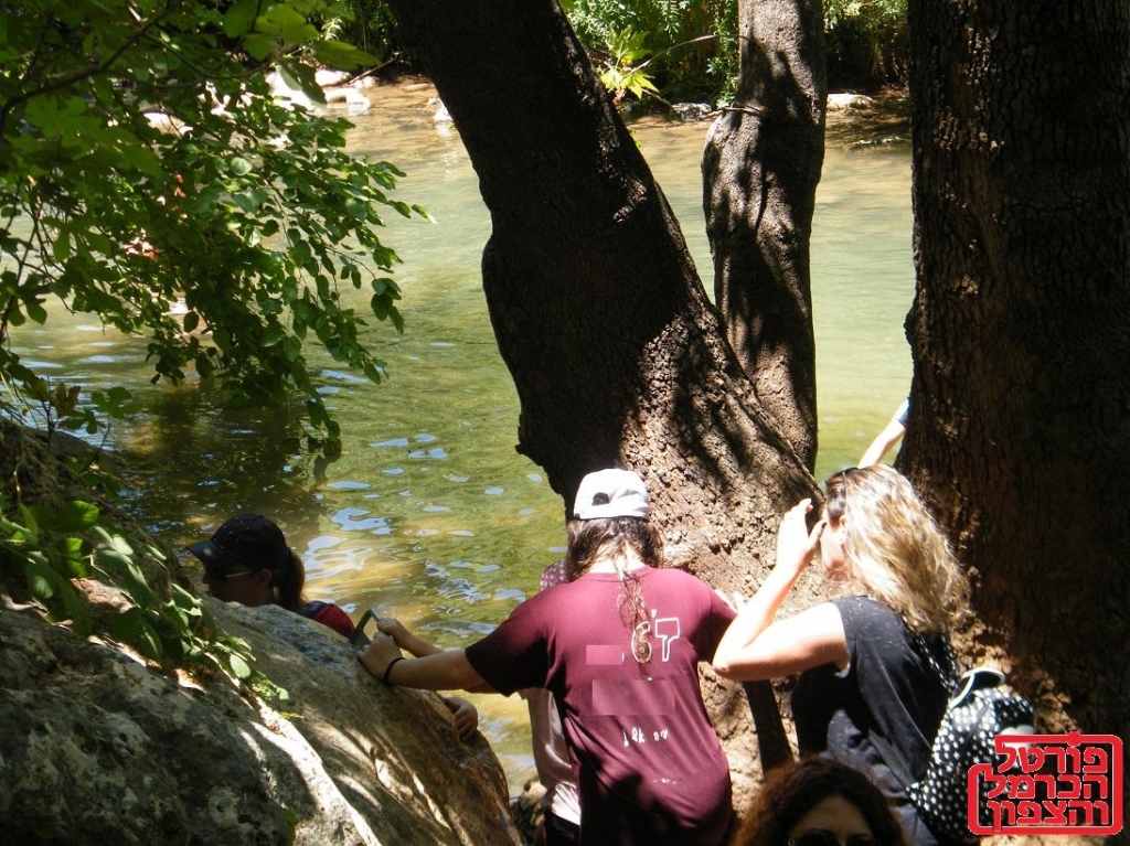 זיהום חריג בנחלים בצפון