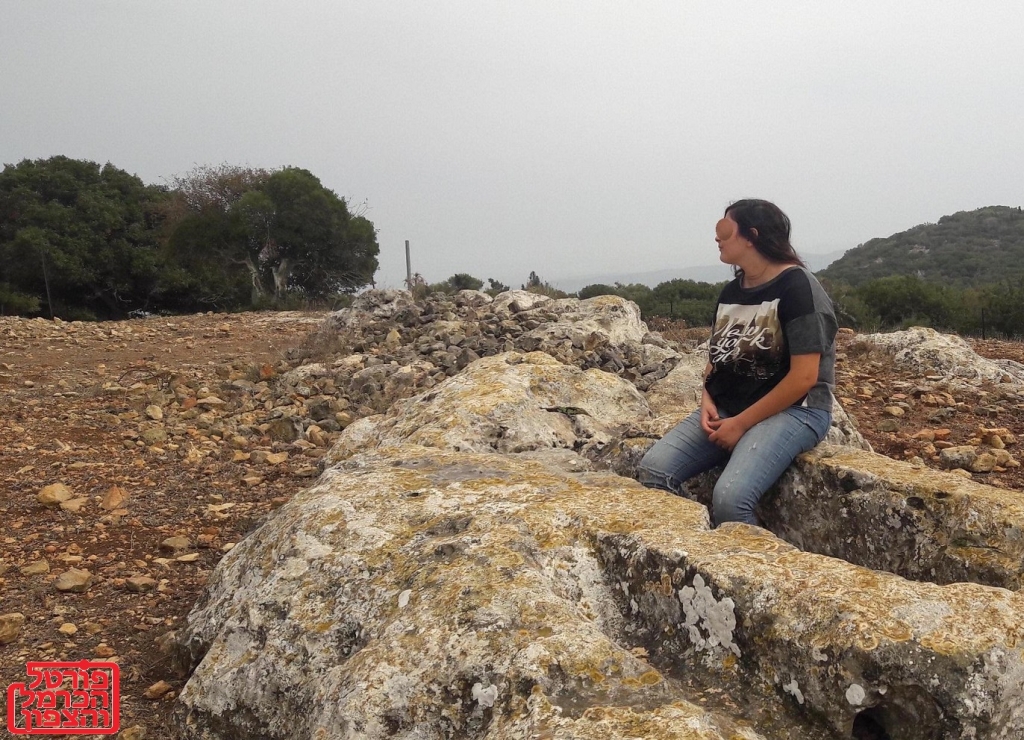 רשויות שלא השקיעו במיגור ההטרדות המיניות
