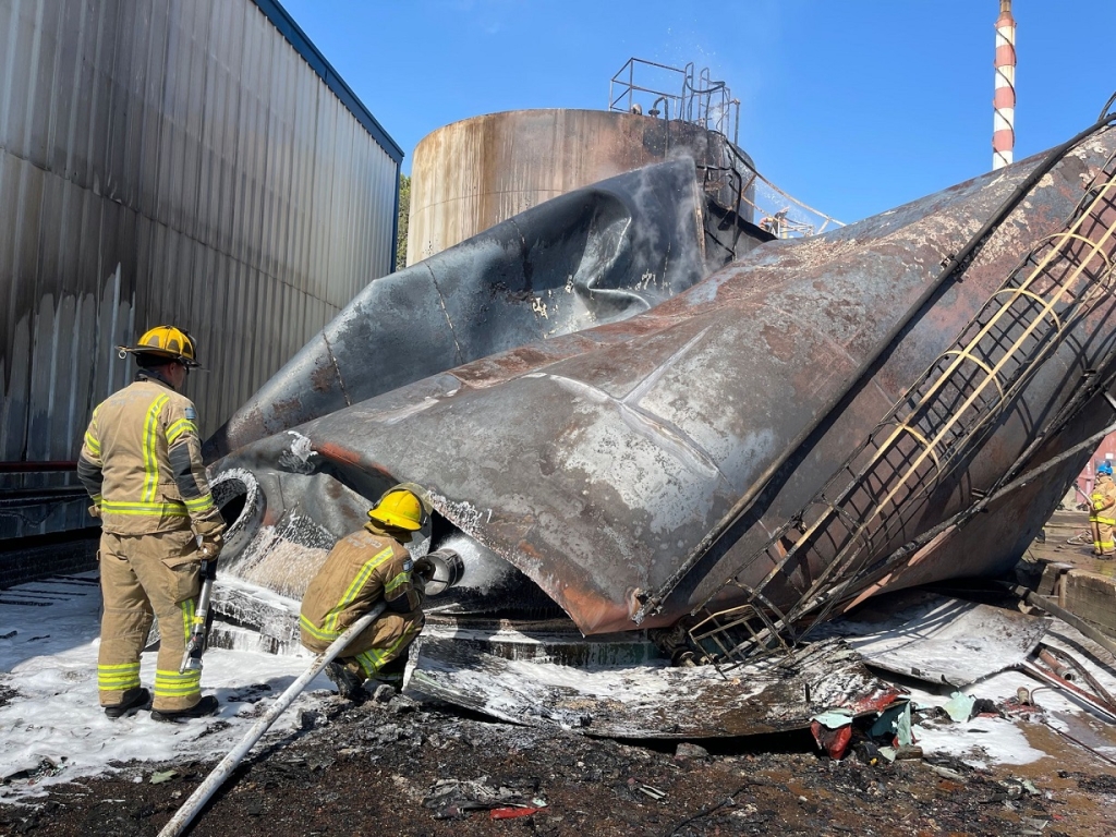 פורטל הכרמל