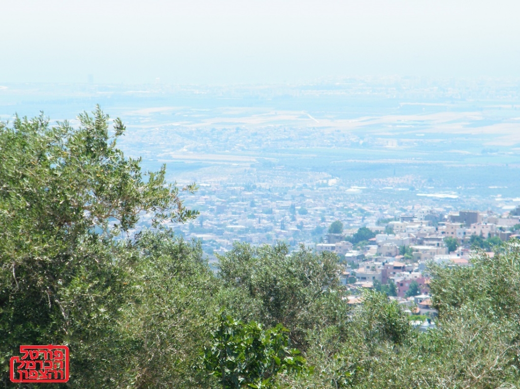 בן 45 נרצח בירכא