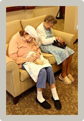 פורטל הכרמל