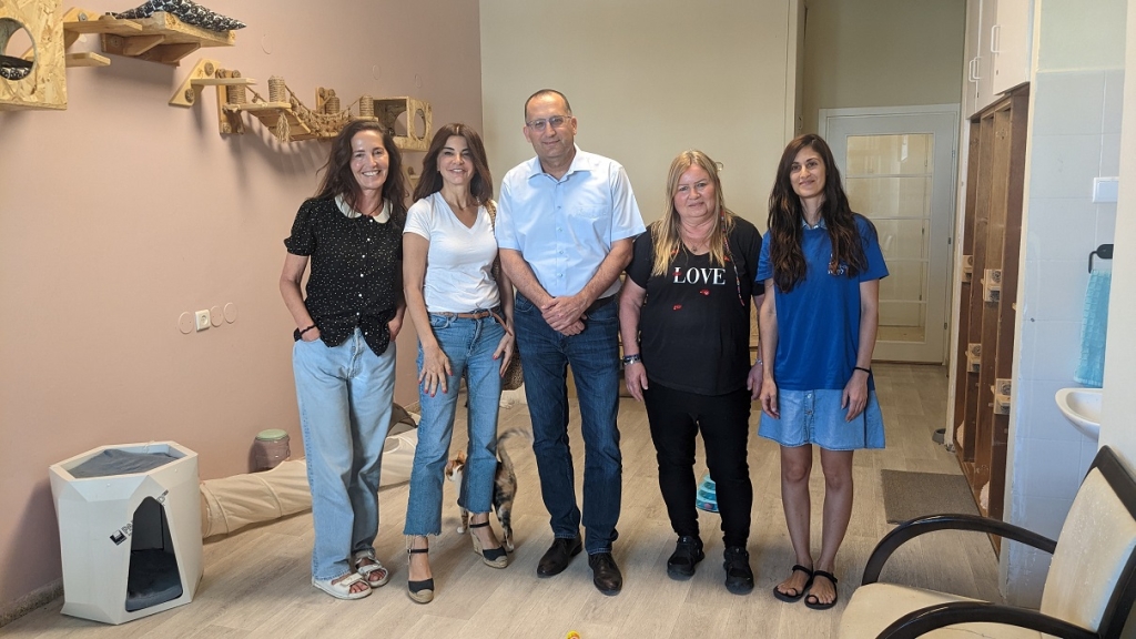 " משען לחתול "