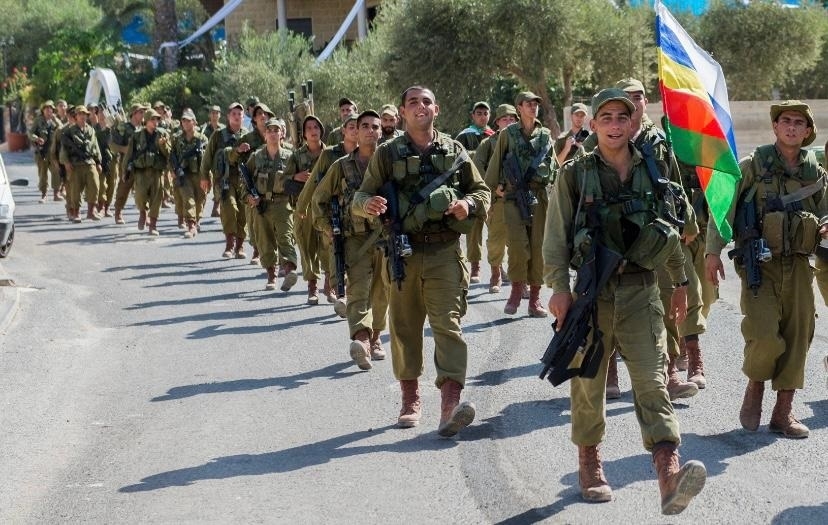 פורטל הכרמל