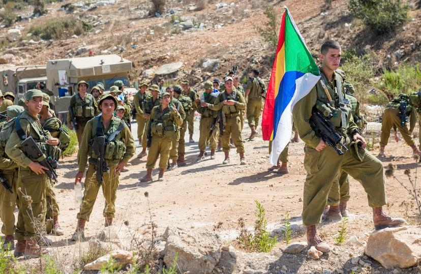 פורטל הכרמל