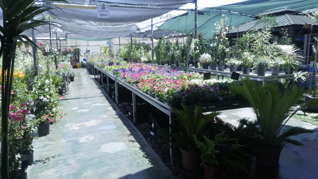 פורטל הכרמל